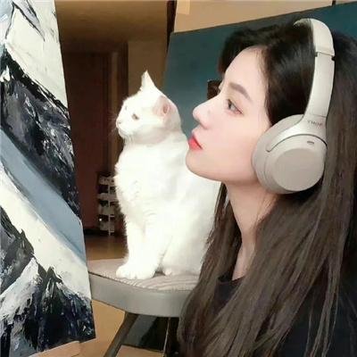 新浪潮
