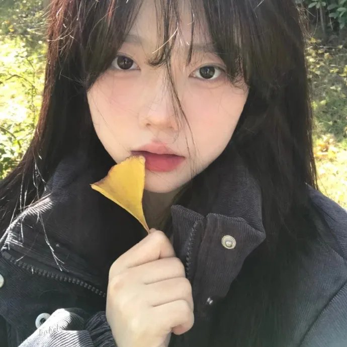神奇的旋转木马